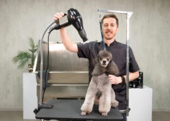 Show Tech Hand Dryer Holder 7 Show Tech Hand Dryer Holder -Skin Care Products Store 14ste001 3 zfehtamzql7hp8yo