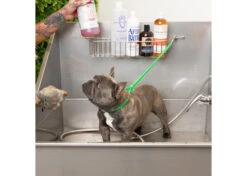 Jelly Pet Grooming Loop Lime Green 46 Cm X 1 Cm -Skin Care Products Store 16jpe005 2 unxmny0cv0qv4s2w