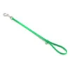 Jelly Pet Grooming Loop Lime Green 46 Cm X 1 Cm