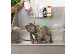 Jelly Pet Grooming Loop Lime Green 61 Cm X 1 Cm 9 Jelly Pet Grooming Loop Lime Green 61 Cm X 1 Cm -Skin Care Products Store 16jpe014 2 qkyiw1ck4u5nsdeg