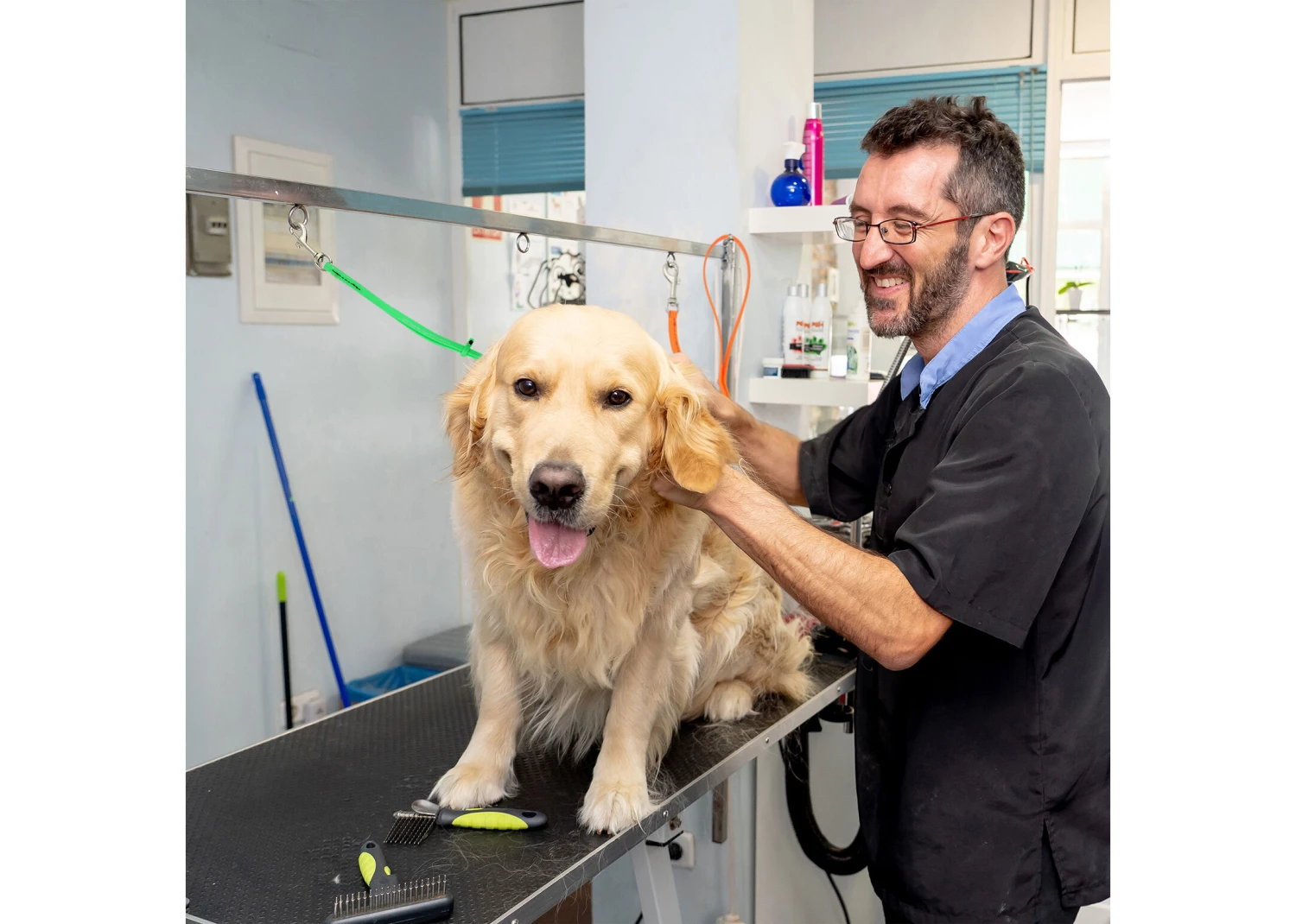 Jelly Pet Grooming Loop Lime Green 61 Cm X 1 Cm 2 Jelly Pet Grooming Loop Lime Green 61 Cm X 1 Cm - Image 2