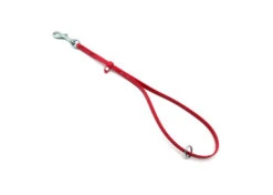 Jelly Pet Grooming Loop W/Ring Red 61 Cm X 1 Cm