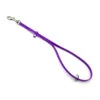 Jelly Pet Grooming Loop W/Ring Purple 61 Cm X 1 Cm