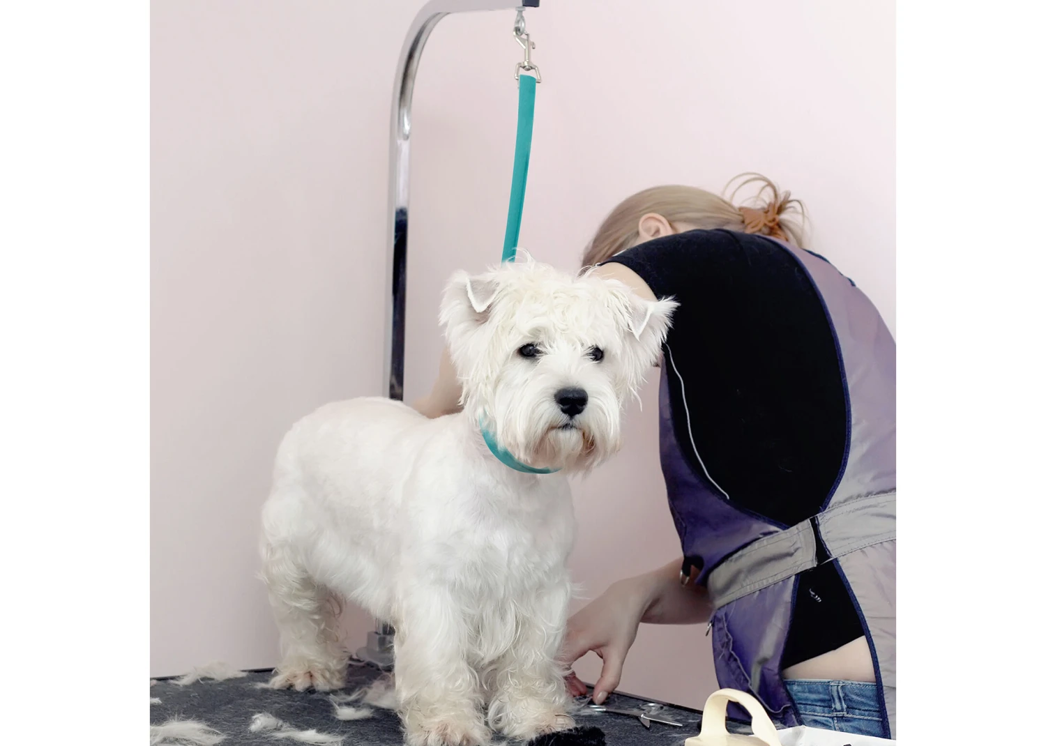 Jelly Pet Grooming Loop Slip Style Teal 63 Cm X 1 Cm 2 Jelly Pet Grooming Loop Slip Style Teal 63 Cm X 1 Cm - Image 2