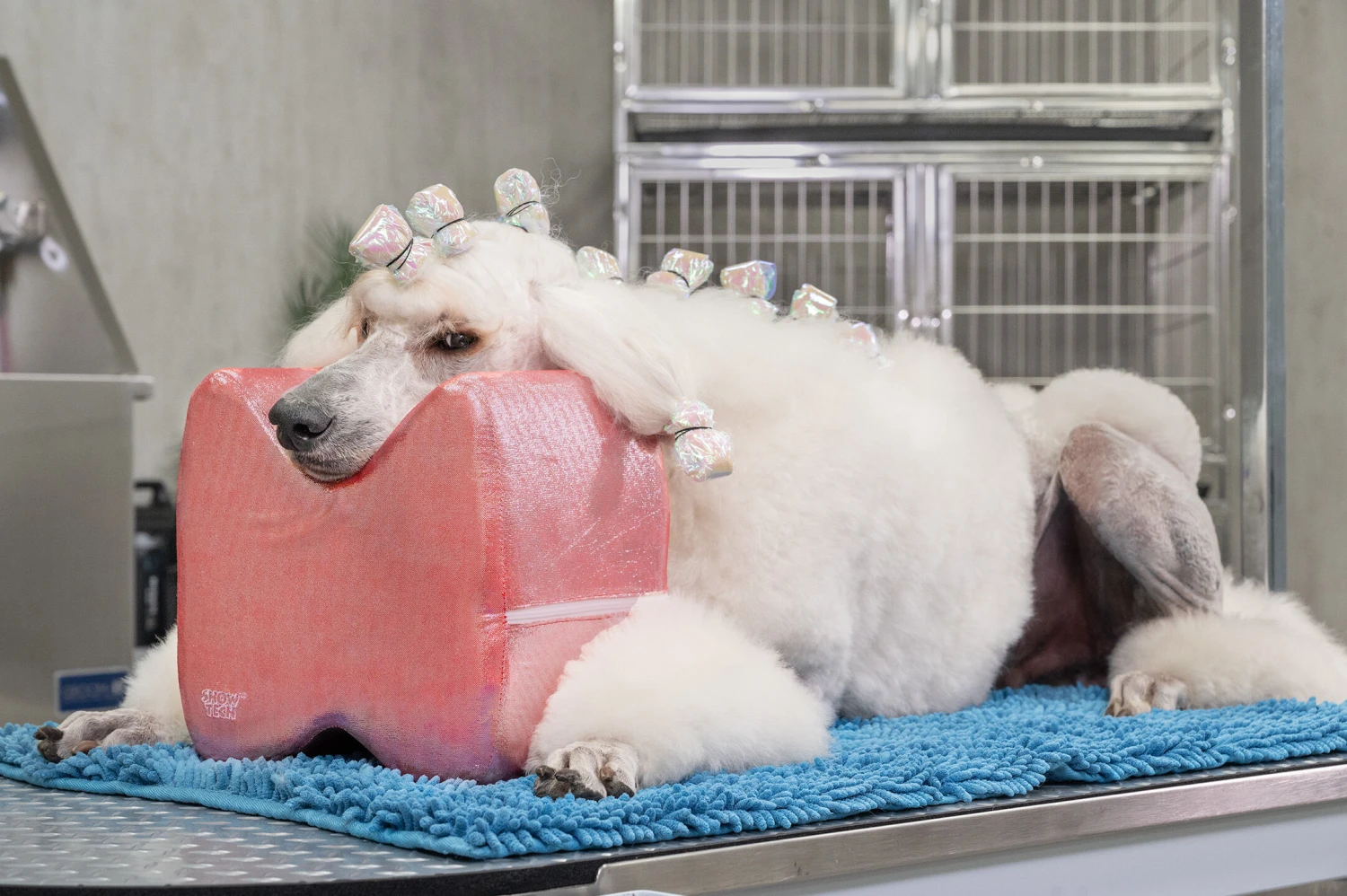 Show Tech Topknot Cushion Glitzy Purple - S 6 Show Tech Topknot Cushion Glitzy Purple - S - Image 6