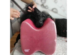 Show Tech Topknot Cushion Glitzy Red - L -Skin Care Products Store 16ste071 4 1 uenncsbchcinlax1