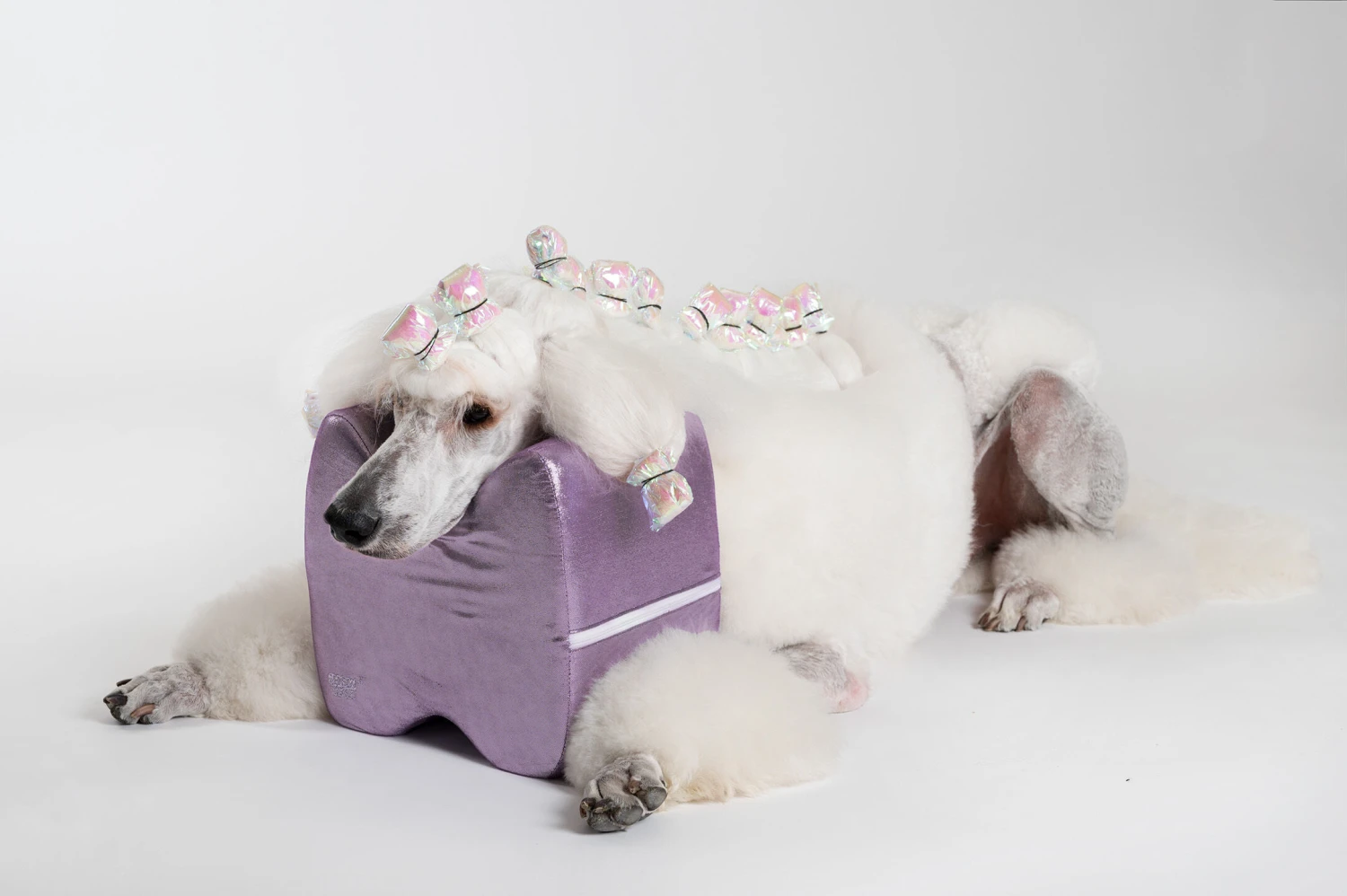 Show Tech Topknot Cushion Glitzy Purple - L 2 Show Tech Topknot Cushion Glitzy Purple - L - Image 2