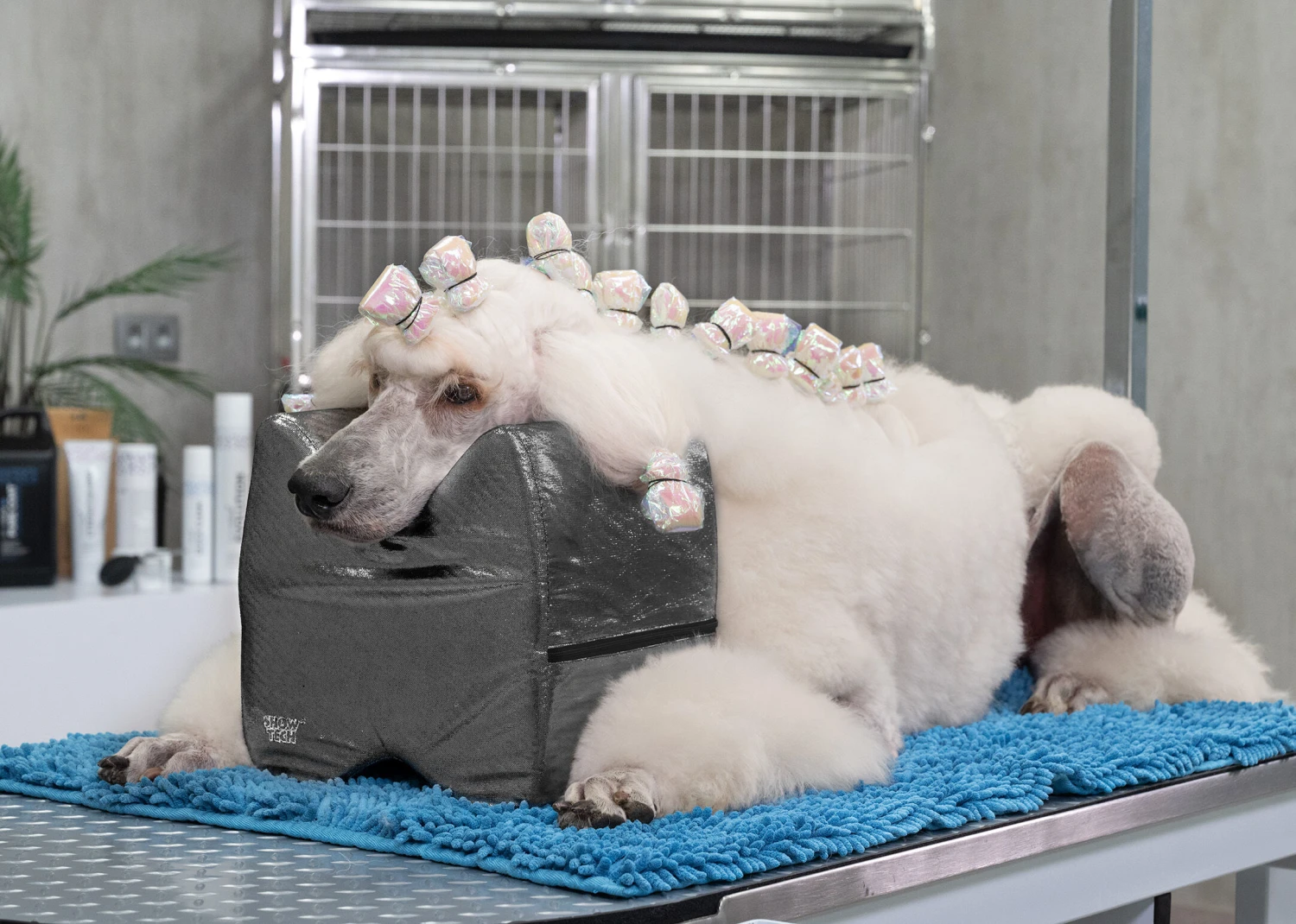 Show Tech Topknot Cushion Glitzy Black - L 2 Show Tech Topknot Cushion Glitzy Black - L - Image 2