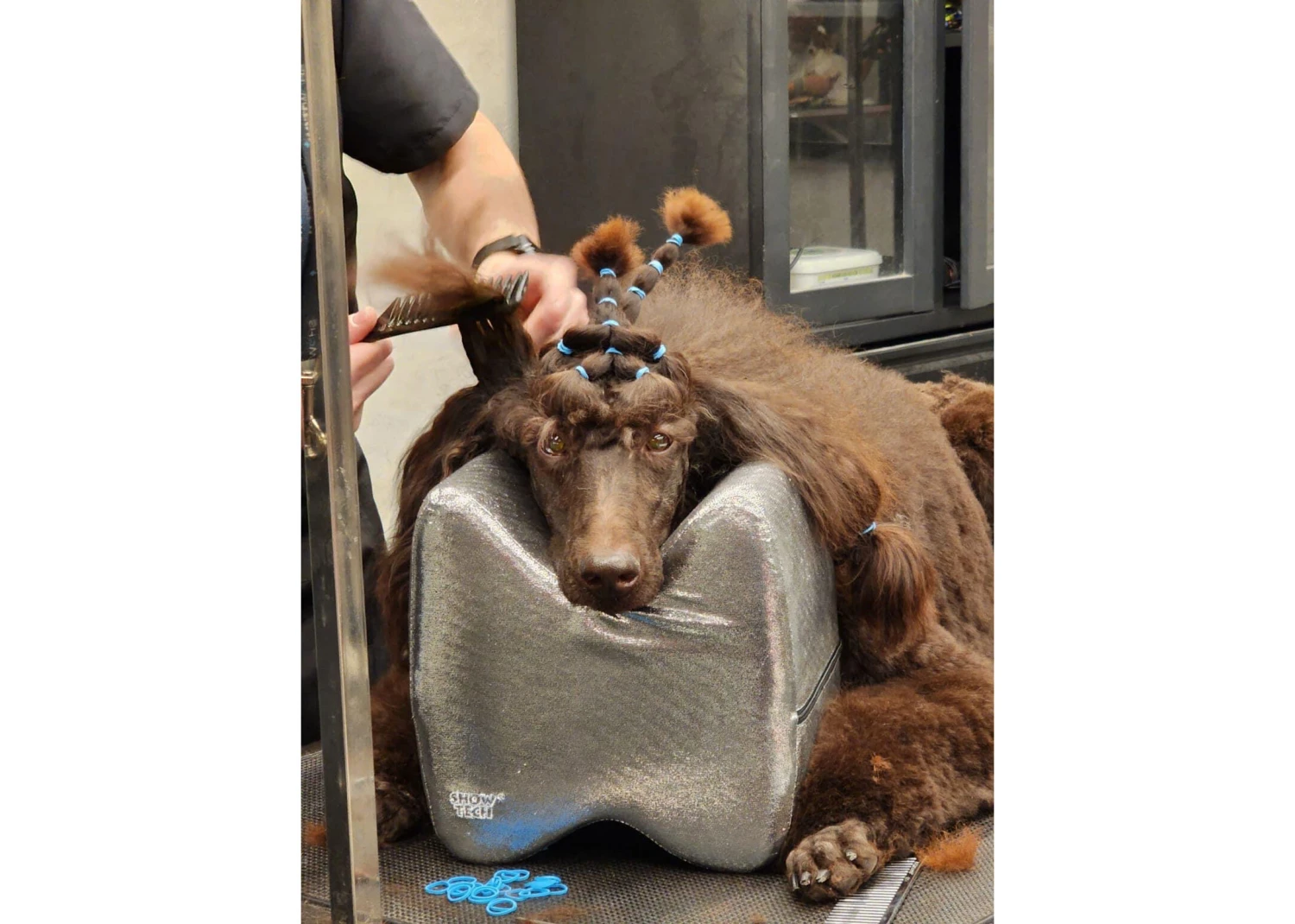 Show Tech Topknot Cushion Glitzy Black - L 9 Show Tech Topknot Cushion Glitzy Black - L - Image 9