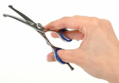 Show Tech Safety Scissor Curved 12 Cm - 5" -Skin Care Products Store 22ste085 5 r3hczxjcsizvmd7g