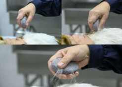 Second Choice Groom Stone Oval Grey 8,5x4,9x2cm 1+2 Free -Skin Care Products Store 23div001 o7ppqzo9pcr5fzvw