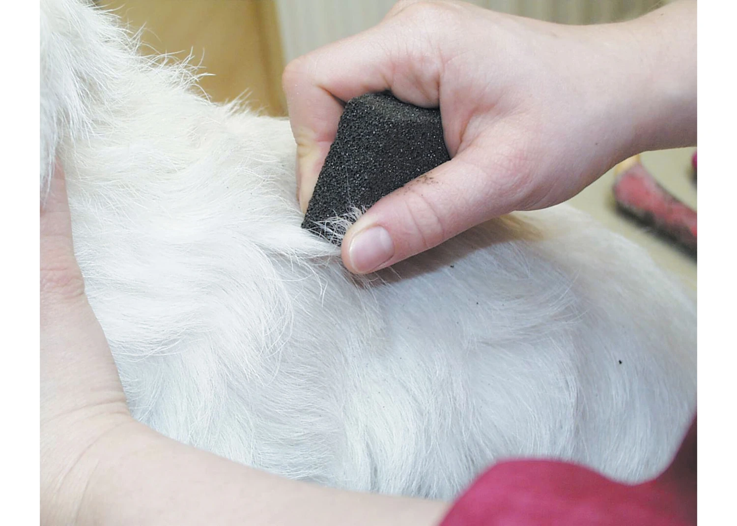 Show Tech Stripping Stone 9 X 6 X 2.5 Cm 1 Show Tech Stripping Stone 9 X 6 X 2.5 Cm