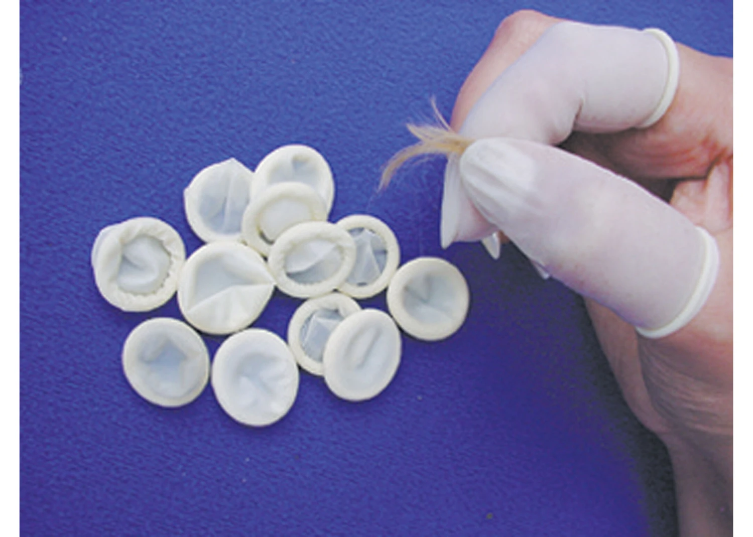 Show Tech Finger Condoms 100 Pcs White - M 1 Show Tech Finger Condoms 100 Pcs White - M