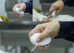 Show Tech Groom Stone Oval White 8.5 X 4.9 X 2 Cm -Skin Care Products Store 23ste058 3 hsn4od0kgdxcl7vi