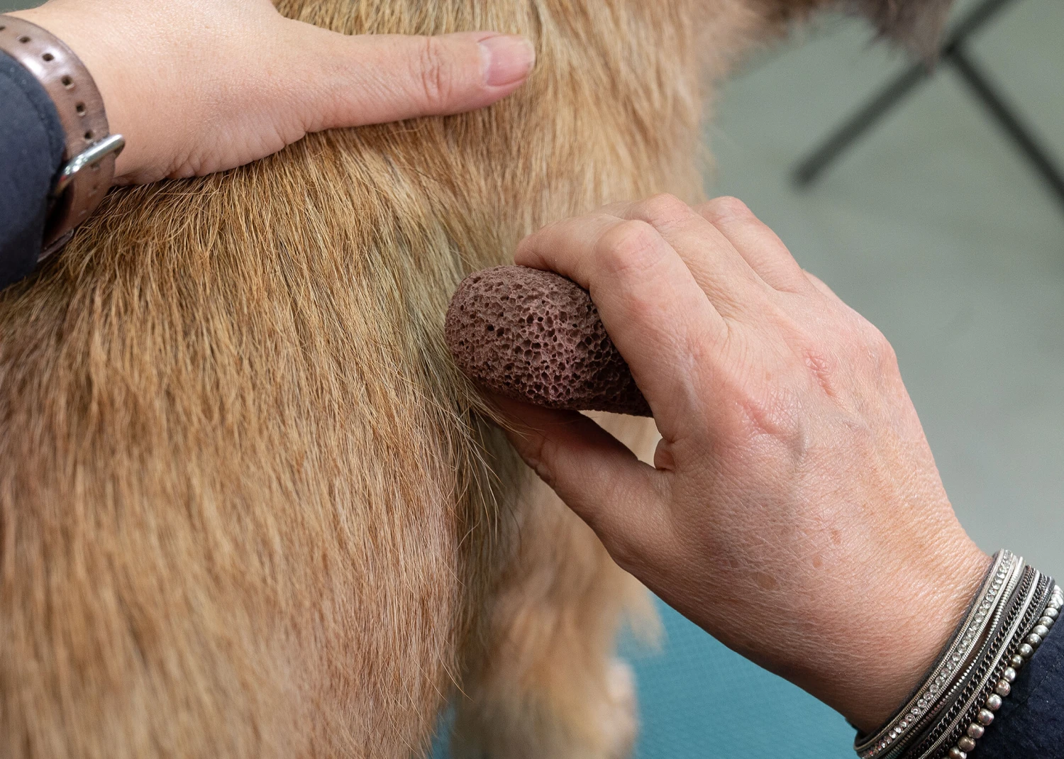 Show Tech Groom Stone Dark Brown 8 X 4 X 3 Cm 6 Show Tech Groom Stone Dark Brown 8 X 4 X 3 Cm - Image 6