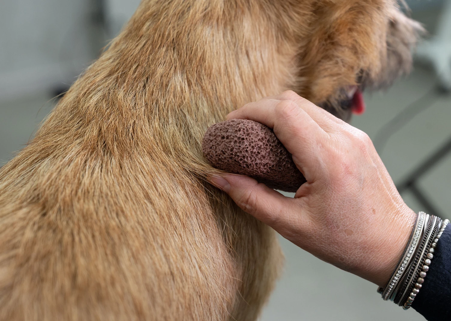 Show Tech Groom Stone Dark Brown 8 X 4 X 3 Cm 8 Show Tech Groom Stone Dark Brown 8 X 4 X 3 Cm - Image 8