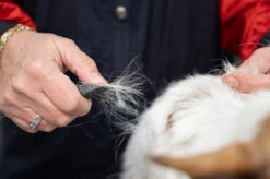 Show Tech Comfy Stripping Stick 13 Mm Double Sided 7 Show Tech Comfy Stripping Stick 13 Mm Double Sided -Skin Care Products Store 23ste065 3 8ydt4sm2l5yvciqs