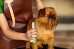 The Sentinel Commercial Stripper W8 Slim Left-Handed -Skin Care Products Store 23tse026 3 ptijmmhhpuoxb74h