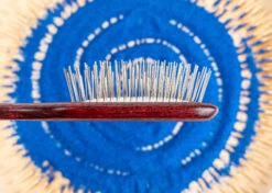 Show Tech Maxi Pin Brush Oblong 22 Cm - Pin 2 Cm -Skin Care Products Store 24ste001 3 husgfwzaroyynh4w