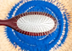 Show Tech Maxi Pin Brush Large 23 Cm - Pin 2 Cm -Skin Care Products Store 24ste002 3 gozgip9bkhhdp9aw