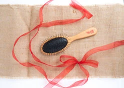 Yento 60-60 Pin Brush -Skin Care Products Store 24yen008 13 tkpzgjzsjblvpcdf