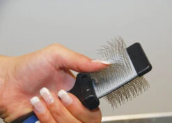 Show Tech Twin-Flex Slicker Small Slicker Brush -Skin Care Products Store 25ste016 5 gw3h4c3xyrtsncai