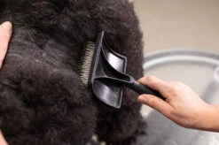 Yento Mega Pin Slicker Large Slicker Brush -Skin Care Products Store 25yen002 2 afj9woz09uyncsdi