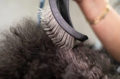 Yento Mega Pin Slicker Large Slicker Brush -Skin Care Products Store 25yen002 6 gitxjocokuxkwodj