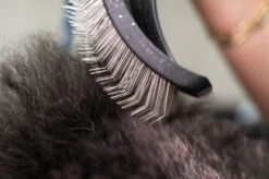 Yento Mega Pin Slicker Large Slicker Brush -Skin Care Products Store 25yen002 7 nxjcmwjyynzsjkuz