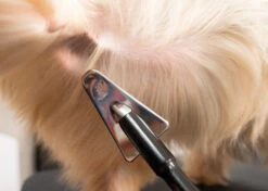 Yento Show Coat Slicker With Extra Long Handle - Triangular -Skin Care Products Store 25yen010 1 1 p9memjvjnwpggecj