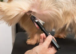 Yento Show Coat Slicker With Extra Long Handle - Triangular -Skin Care Products Store 25yen010 5 zux7aho2m1mkuq8i