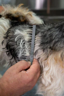 The Sentinel T11 Heavy Duty Comb Wide 17 Cm