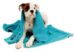 Show Tech+ Microfibre Towel Turquoise 56x90cm