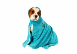 Show Tech+ Dry Dude Medium Turquoise Bathrobe -Skin Care Products Store 33stp005 majoydsxiy3mlvee