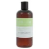 IGroom Argan + Vitamin E Shampoo 473 Ml