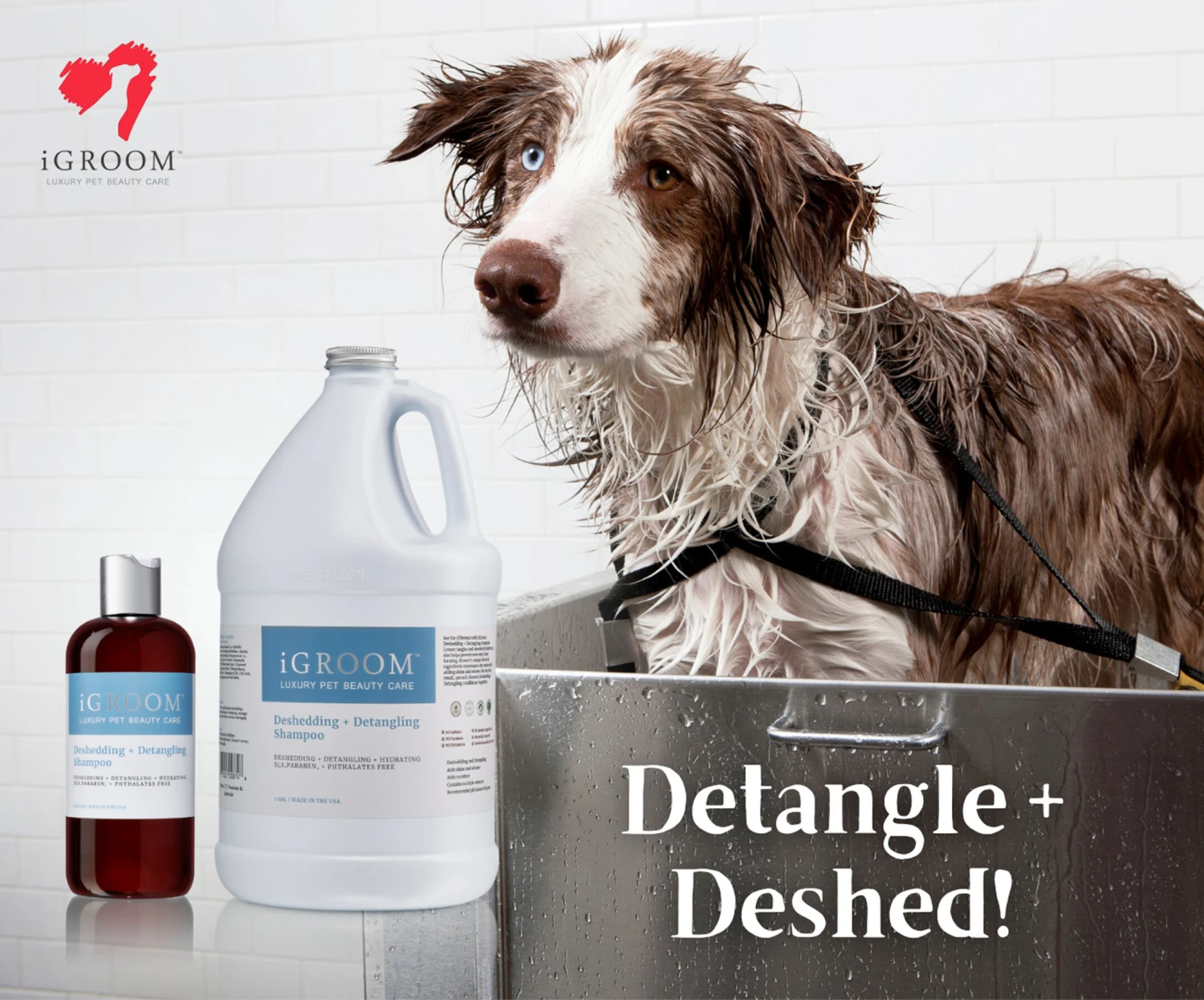 IGroom Deshedding + Detangling Shampoo 473 Ml 4 IGroom Deshedding + Detangling Shampoo 473 Ml - Image 4