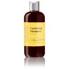 IGroom Clarifying Shampoo PineApple 473 Ml