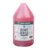 Natures Specialties Berry Gentle Shampoo 3.8 L