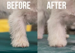 Show Tech+ Quick Clean Dry Shampoo 200 Ml -Skin Care Products Store 41stp019 1 r8uwd6ij8x20jkkk