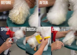 Show Tech+ Quick Clean Dry Shampoo 200 Ml -Skin Care Products Store 41stp019 2 7nfo3nxw3kylel7h