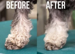 Show Tech+ Quick Clean Dry Shampoo 200 Ml -Skin Care Products Store 41stp019 9 humlll9pgsohhrti