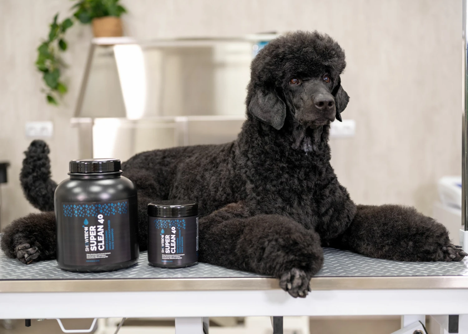 Show Tech+ Super Clean 40 Shampoo 100 Ml 5 Show Tech+ Super Clean 40 Shampoo 100 Ml - Image 5