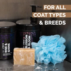 Show Tech+ Bubble Bliss Shampoo Bar -Skin Care Products Store 41stp039 bubble bliss 1080x1080 04 bmjgw9sky7ppfm9f