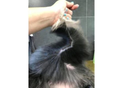 Show Tech+ Quick Fix Spray RTU 500 Ml -Skin Care Products Store 43stp001 4 d91dwgpzbstyrwee