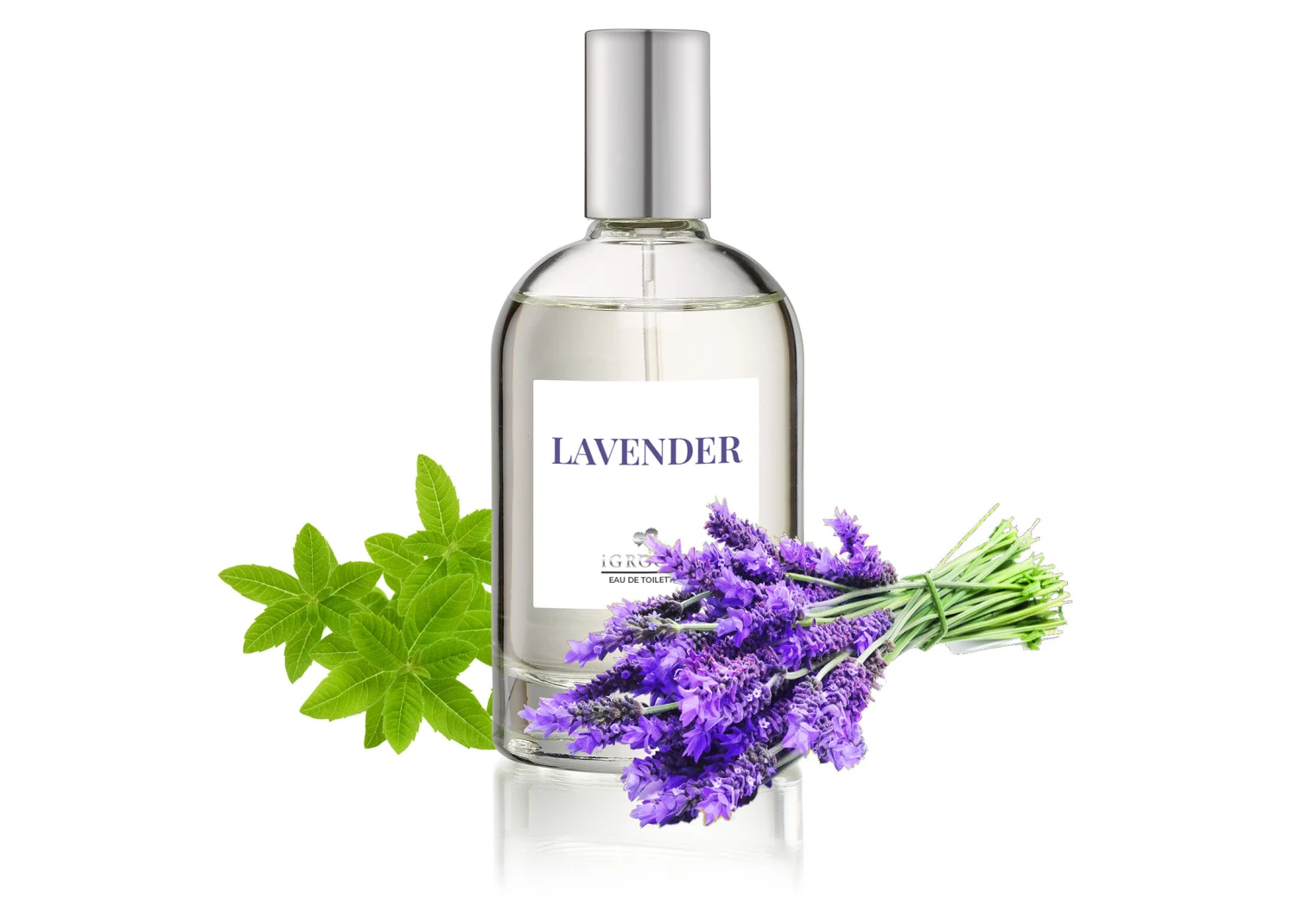 IGroom Perfume Lavender 100 Ml 1 IGroom Perfume Lavender 100 Ml