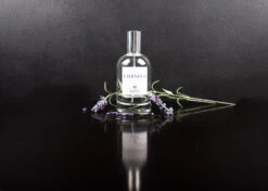 IGroom Perfume Lavender 100 Ml 7 IGroom Perfume Lavender 100 Ml -Skin Care Products Store 44igr015 4 home2dj7tzbvotyc