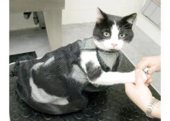 Show Tech Cat Bag -Skin Care Products Store 62ste001 32x 8idnnlguc22bmawv