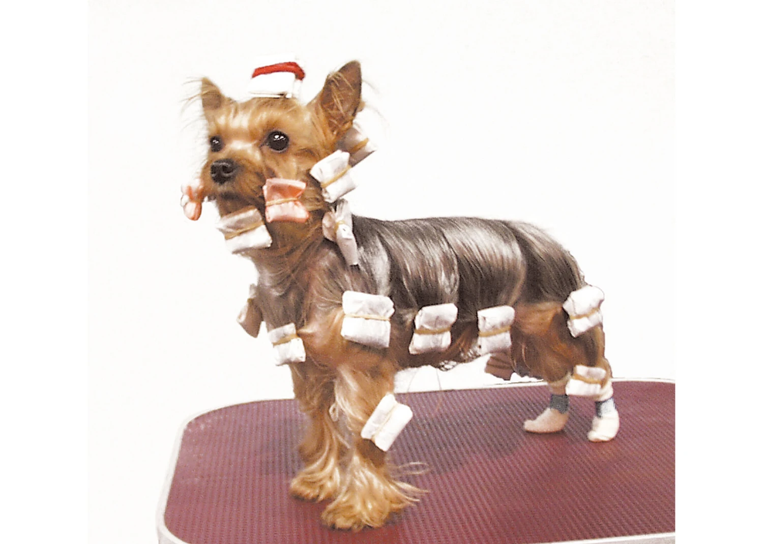 Show Tech Rice Paper White 100 Pcs Wrapping Paper 3 Show Tech Rice Paper White 100 Pcs Wrapping Paper - Image 3