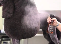 Show Tech Exclusive Salon Micro Mist Bottle Green 150ml -Skin Care Products Store 87ste017 4 7uk5qvcyfxi5h9qn